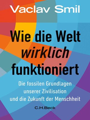 Wie die Welt wirklich funktioniert - ebook